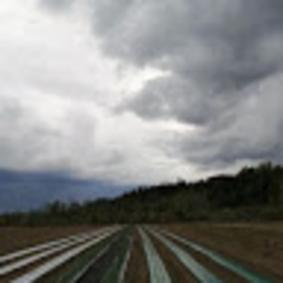 Meet your Posher, Kay - Picture 1 of 1